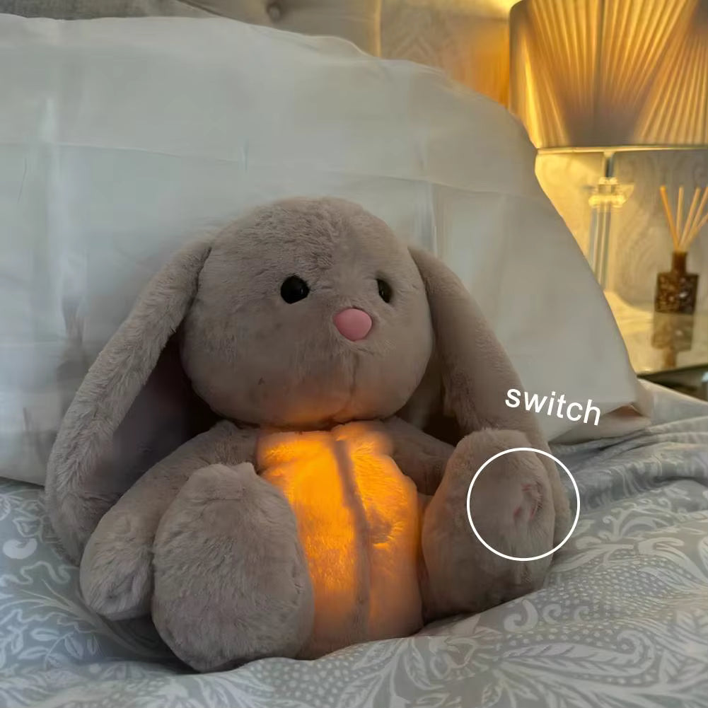 Plüschtier Hase mit Erklärung zum wechseln der Modies 